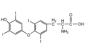 D-甲狀腺素